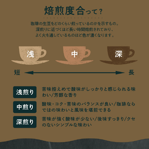 本格 ドリップコーヒー 厳選 10種 自家焙煎 コーヒー 10袋 ( 1袋 11g ) 自家焙煎珈琲 カフェグート