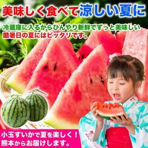 小玉すいか 3～5玉入り M～3Lサイズ 約4.5kg以上(益城町)【1684314】