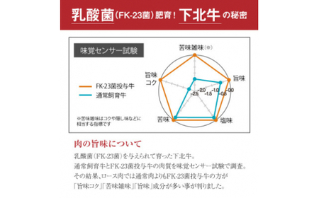 下北牛　赤身(ウチモモカブリナシ)　ステーキ　約300g