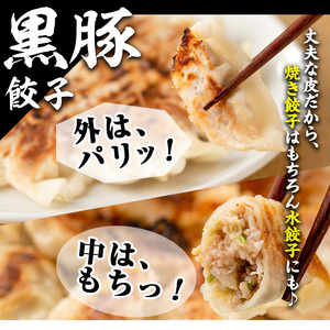 No.1327-n 鹿児島黒豚使用の黒豚生餃子(計36個・12個入り×3パック)国産 九州産 ぎょうざ ギョウザ 冷凍 黒豚 豚肉 お肉 おかず【末永商店】