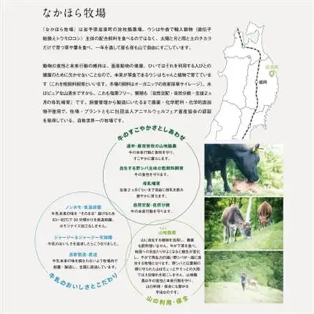 【毎月定期便】なかほら牧場のノンファット(無脂肪タイプ)ヨーグルト 〔500 ml〕3本全6回【配送不可地域：離島】【4075359】