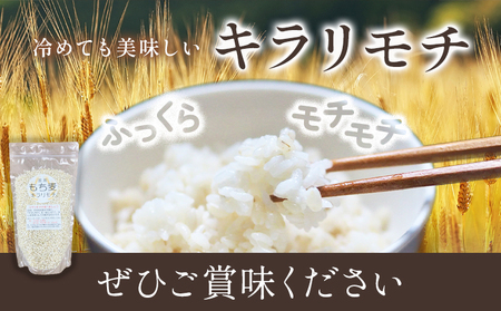 もち麦 令和7年産 キラリモチ 500g 結城市産 けいいちろう商店 《30日以内に出荷予定(土日祝除く）》茨城県 結城市 もち麦 米 こめ コメ 麦 ご飯 お弁当