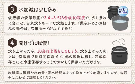 玄米 令和7年産 いのちの壱 1kg 結城市産 けいいちろう商店 《30日以内に出荷予定(土日祝除く）》茨城県 結城市 玄米 米 こめ コメ ご飯 大粒 お弁当 おにぎり