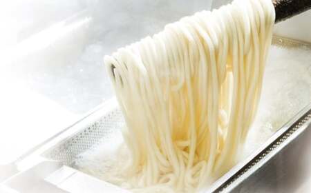 ぶっかけうどん 凍らし麺 12人前 うどん 麺類 麺 冷凍 ぶっかけうどん タレ つゆ 岡山県 倉敷市