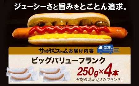 BIGバリューフランク 4本セット 25cm 豚肉 フランクフルト ウィンナー ビッグサイズ 大きい 肉厚 ジューシー 夕食 ご飯 おかず おつまみ バーベキュー BBQ 送料無料 日本ふるさと創生株式会社（サンライズファーム） 千葉県 香取市  SRF002