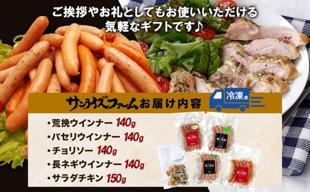 自家製ソーセージギフト 豚肉 ウィンナー あらびき パセリ チョリソー 長ネギ サラダチキン 肉厚 ジューシー 夕食 ご飯 おかず おつまみ お酒 送料無料 日本ふるさと創生株式会社（サンライズファーム） 千葉県 香取市  SRF010