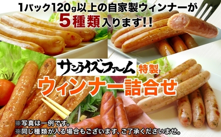 自家製お楽しみウインナー 5パックセットランダム おまかせ 豚肉 フランクフルト ウィンナー あらびき パセリ チョリソ 長ネギ 肉厚 ジューシー 夕食 ご飯 惣菜 おかず おつまみ お酒 送料無料 日本ふるさと創生株式会社（サンライズファーム） 千葉県 香取市  SRF013