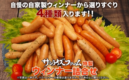 いろいろウインナー4種 1kgパック 業務用 自家製 ウインナー ミックス 豚肉 フランクフルト ウィンナー あらびき パセリ チョリソ 長ネギ 肉厚 ジューシー 夕食 ご飯 惣菜 おかず おつまみ お酒 手軽 送料無料 冷凍 日本ふるさと創生株式会社（サンライズファーム）千葉県 香取市  SRF014