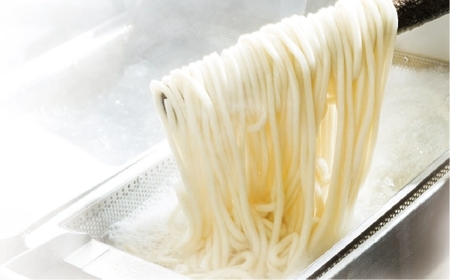 かけうどん だし凍らし麺 8人前 うどん 麺類 麺 冷凍 ぶっかけうどん タレ つゆ 岡山県 倉敷市