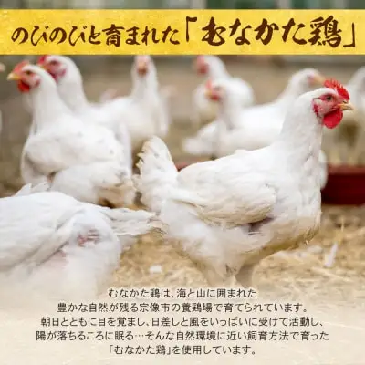 Y71-07 海千 むなかた鶏 使用 水炊き2人前 水炊き