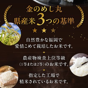 金のめし丸夢つくし　36194　3kg（1袋）　令和7年産 _ 3kg × 1袋 国産 米 福岡県産米 白米 精米 お米 夢つくし オリジナル米 金のめし丸 おいしい ツヤツヤ もちもち ほのかな甘み ご飯 おにぎり 食品 ライス 常温 九州 福岡県 久留米市 お取り寄せ 送料無料  〔Gr077〕