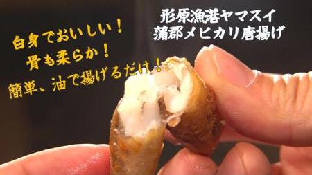 味のヤマスイ 蒲郡撰魚認定 メヒカリ唐揚げ用粉付き（340ｇ×2袋）_【G0007】