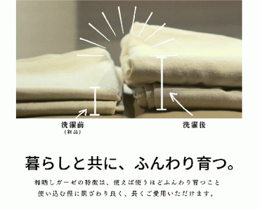 三河産　綿100％和晒し120本ガーゼ掛けふとんカバー_きなり【G0495】
