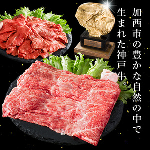 神戸牛 定期便 6ヶ月連続お届け 贅沢6種 すき焼き肉 赤身焼肉 切り落とし ロースステーキ 焼肉食べ比べ
