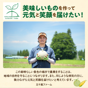【先行予約】 令和8年産 赤肉青肉メロン 食べ比べ 2セット ( クインシー719 ・ クレセント ) 各2玉 計4玉 8kg以上 2026年7月中旬～8月中旬頃お届け予定