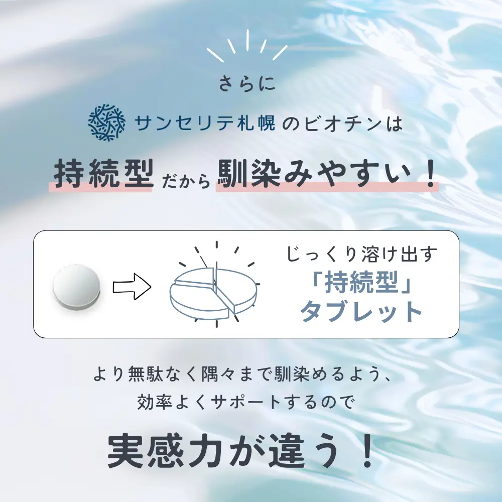 ビオチン（持続型） | サプリメント 健康 北海道 札幌市