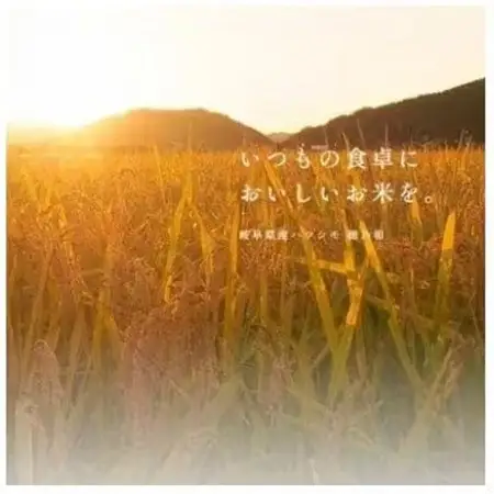 【ふるなびWEEK対象】【毎月定期便】岐阜県産ハツシモ(無洗米) 5kg全2回【配送不可地域：離島】【4076366】