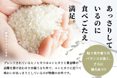 令和7年度産 精米 ふる里からの贈り物 5kg 熊本産 ひのひかり ブレンド米 036-0181