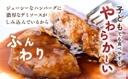 【定期便6回】本格デミグラス ハンバーグ 180g×24個 計4.3kg