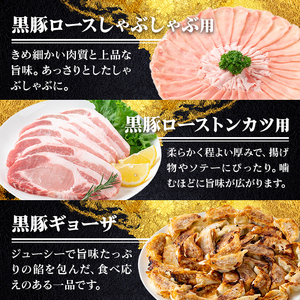 【B06001】鹿児島県産黒豚ロース＆餃子セット 鹿児島県 国産 九州産 黒豚 豚肉 ポーク ロース とんかつ しゃぶしゃぶ 餃子 ギョーザ ぎょうざ バラエティ セット 詰め合わせ 鹿児島 ギフト 贈答【あかつき産業株式会社】