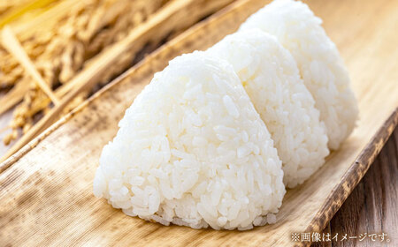 令和7年産 コシヒカリ 5kg 白川町 / 白川町農業開発[AWAH030]
