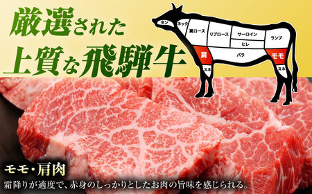 【3回定期便】飛騨牛 焼肉用赤身 600g 白川町 / 浅井商店[AWBJ012] 飛騨牛