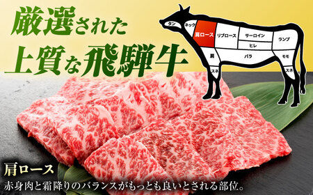 【6回定期便】飛騨牛 焼肉用肩ロース 700g 白川町 / 浅井商店[AWBJ016] 飛騨牛