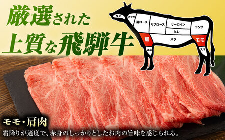 【6回定期便】飛騨牛 牛しゃぶ用赤身 600g 白川町 / 浅井商店[AWBJ019] 飛騨牛