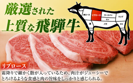 【6回定期便】飛騨牛 ステーキ用計500g 白川町 / 浅井商店[AWBJ031] 飛騨牛