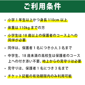 No.1323-C フォレストアドベンチャー・吹上浜＜トレックコース＞体験チケット(4名・120分) 体験 体験チケット チケット フォレストアドベンチャー アクティビティ 非日常 冒険 スポーツ 自然体験 【株式会社MORETZ】