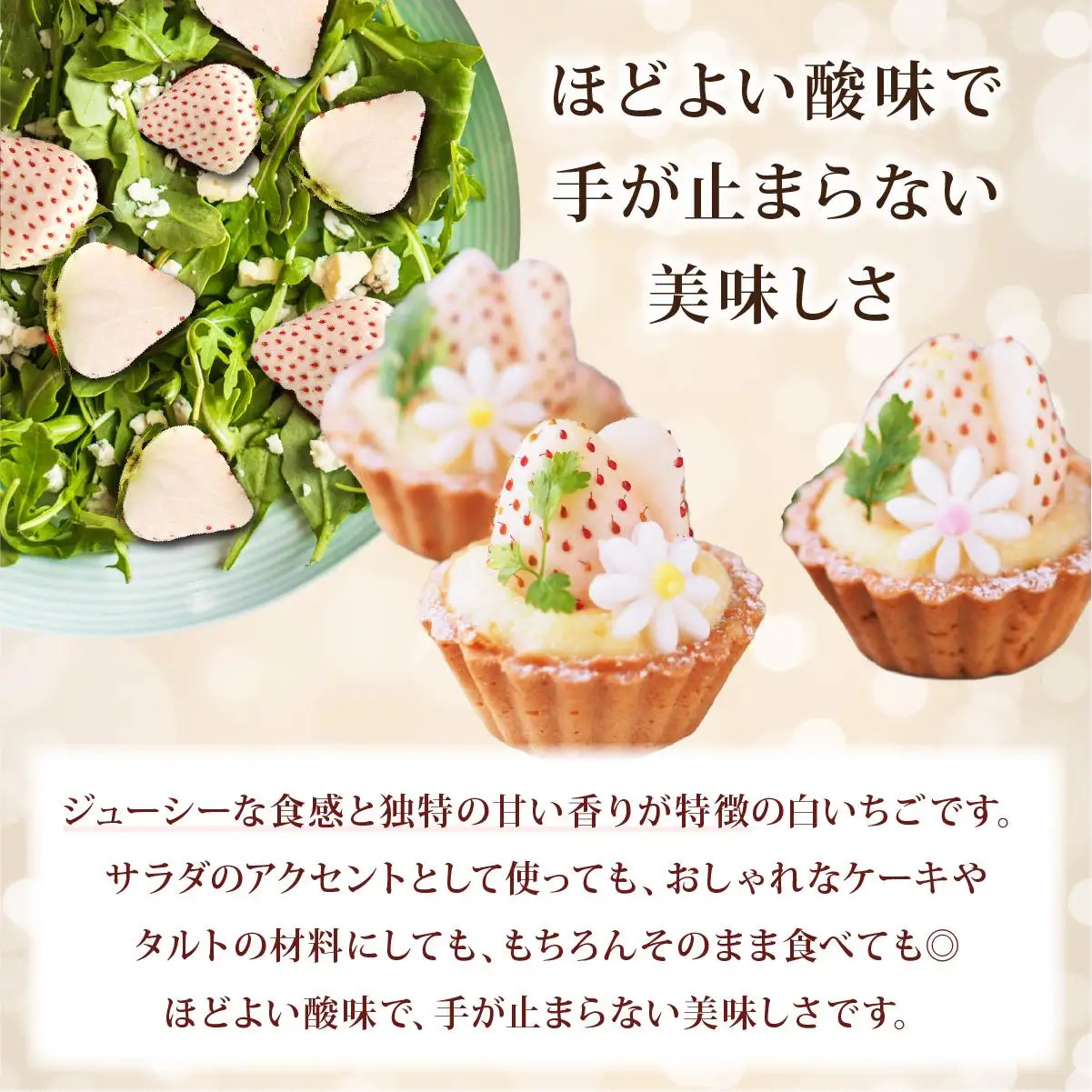 ＜2026年先行予約＞ サラダないちご（白）ご褒美 苺 最旬 贈答 ギフト プレゼント 果物 フルーツ イチゴ 北海道 伊達【ecg-001】
