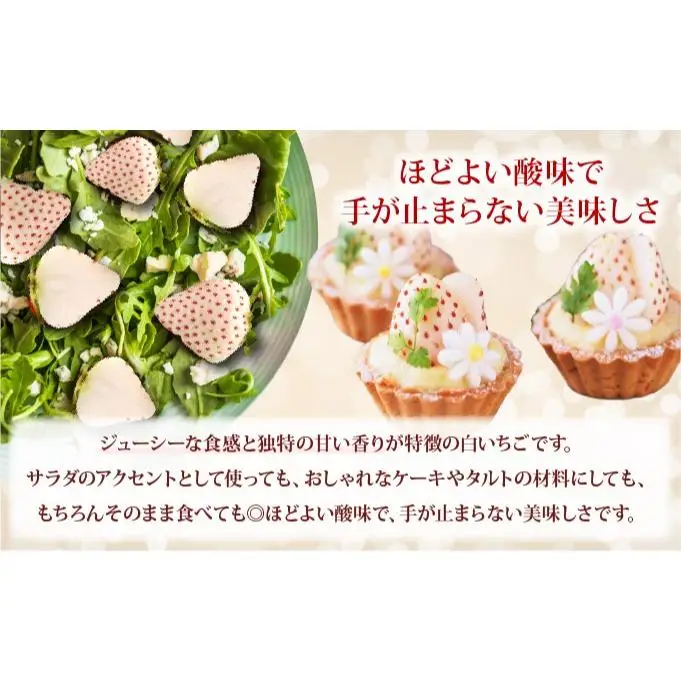 ＜2026年先行予約＞ サラダないちご（赤）ご褒美 苺 最旬 贈答 ギフト プレゼント 果物 フルーツ イチゴ 北海道 伊達【ecg-002】