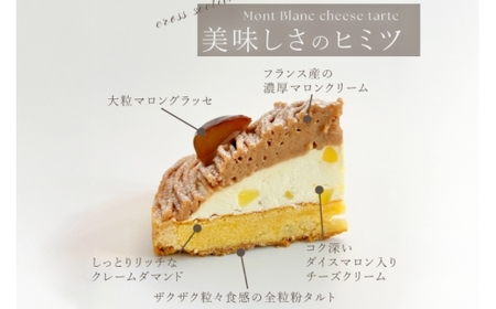 ケーキ タルト 8種 食べ比べ 1ホール分 18cm [心優-Cotoyu Sweets- 長崎県 平戸市 hr42bjo490249]