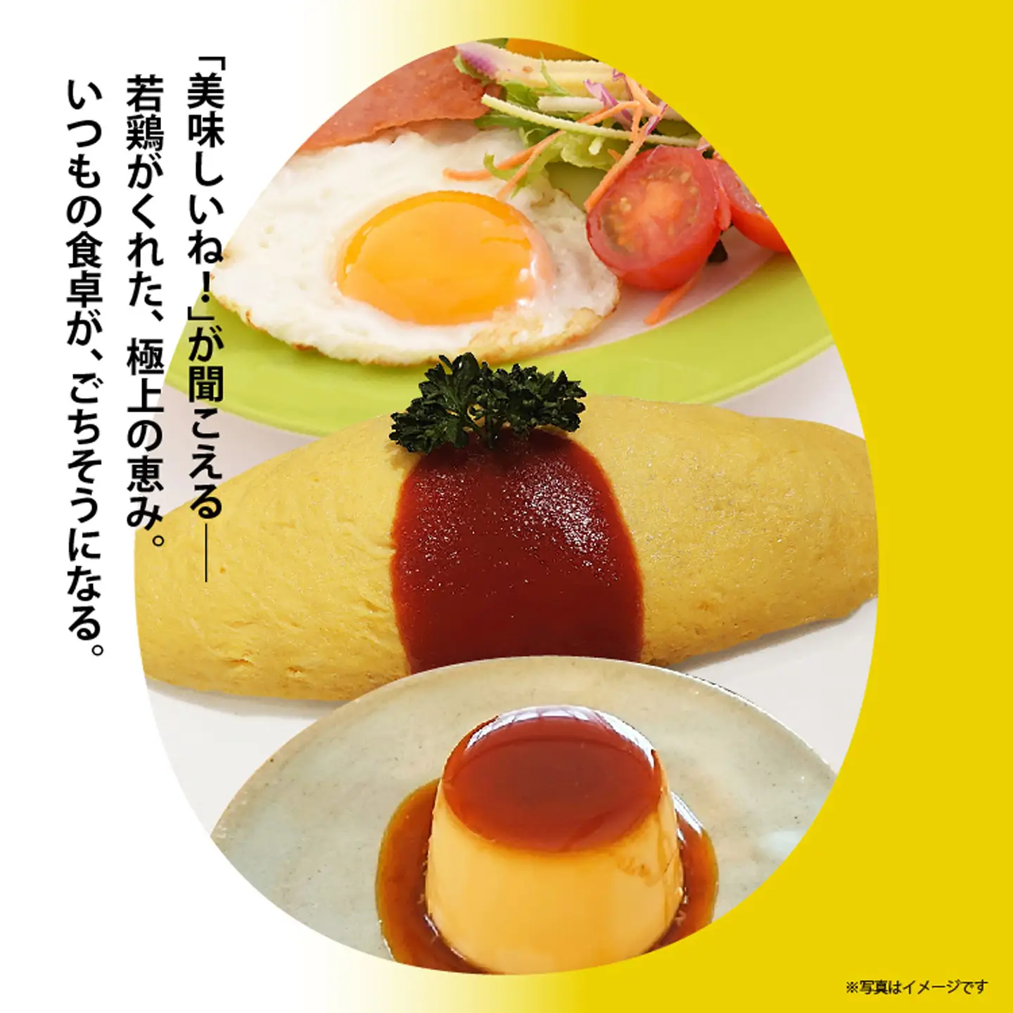 まろやかなコクと甘み！多久産 滋養卵 40個 卵 若鶏の滋養卵 _a-92