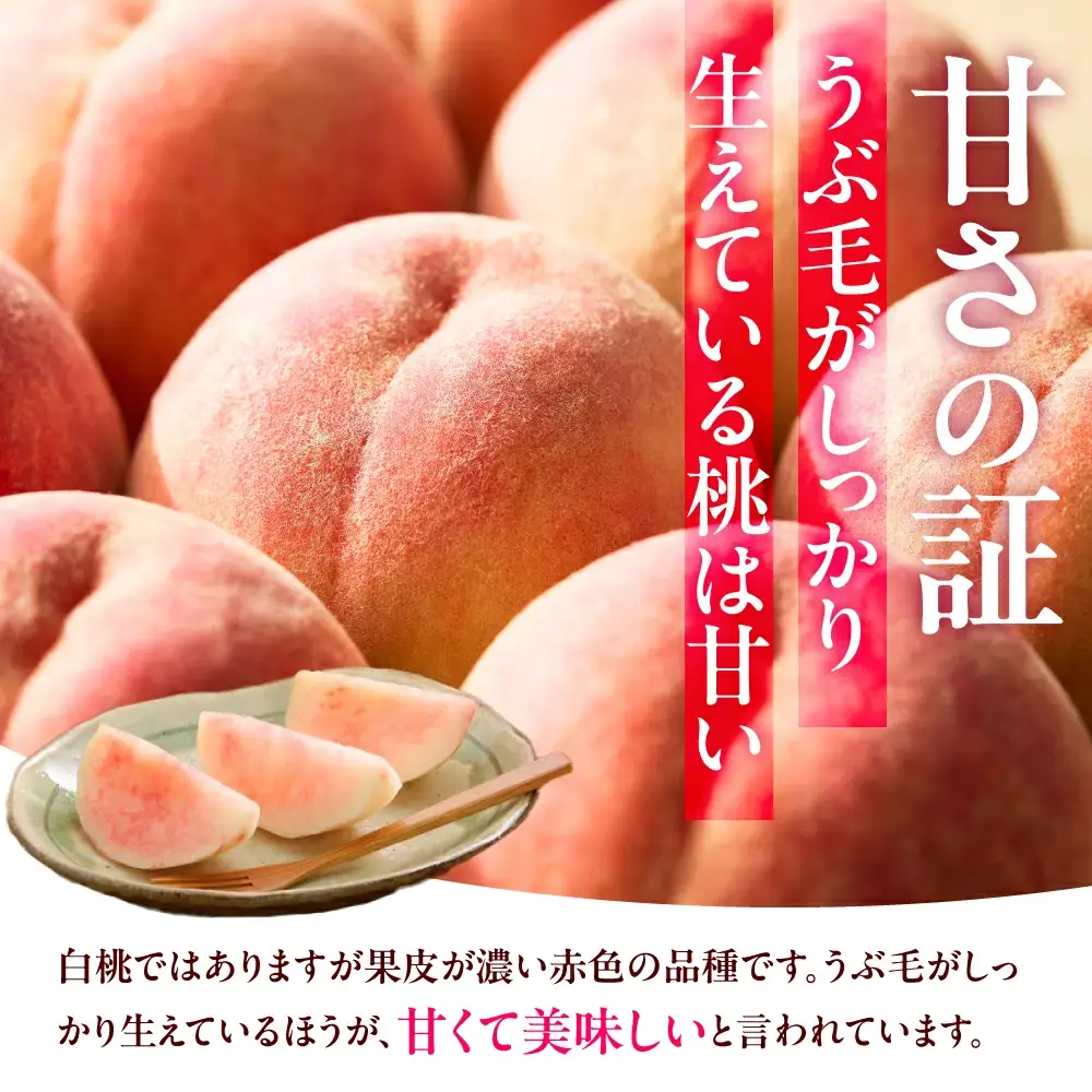 もも ( 川中島白桃 ) 3kg フルーツ 果物 山形 桃