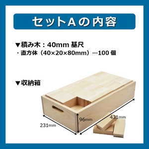 【ギフト対応OK！】小さな大工さんセットA_自然素材の積み木 積み木 小さな大工さん 成長期 知育 玩具 想像力 創造性 専用箱付き 遊び方 無限大 安心安全 無塗装 無着色 安定感 一体感 木遊び おもちゃ ドミノ 選べるセット 子ども 誕生日 プレゼント 出産祝い 福岡県 久留米市 送料無料 〔Sx201〕
