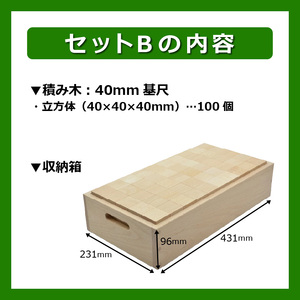 【ギフト対応OK！】小さな大工さんセットB_自然素材の積み木 積み木 小さな大工さん 成長期 知育 玩具 想像力 創造性 専用箱付き 遊び方 無限大 安心安全 無塗装 無着色 安定感 一体感 木遊び おもちゃ ドミノ 選べるセット 子ども 誕生日 プレゼント 出産祝い 福岡県 久留米市 送料無料 〔Sx202〕