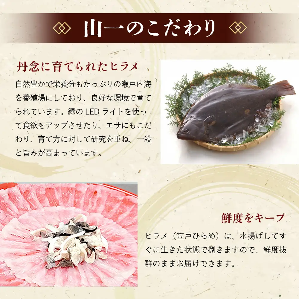 笠戸ひらめお刺身（薄造り、陶器皿）約4～5人前【引換券】 ／ 鮃 ヒラメ お造り 山口県 特産品 No.093