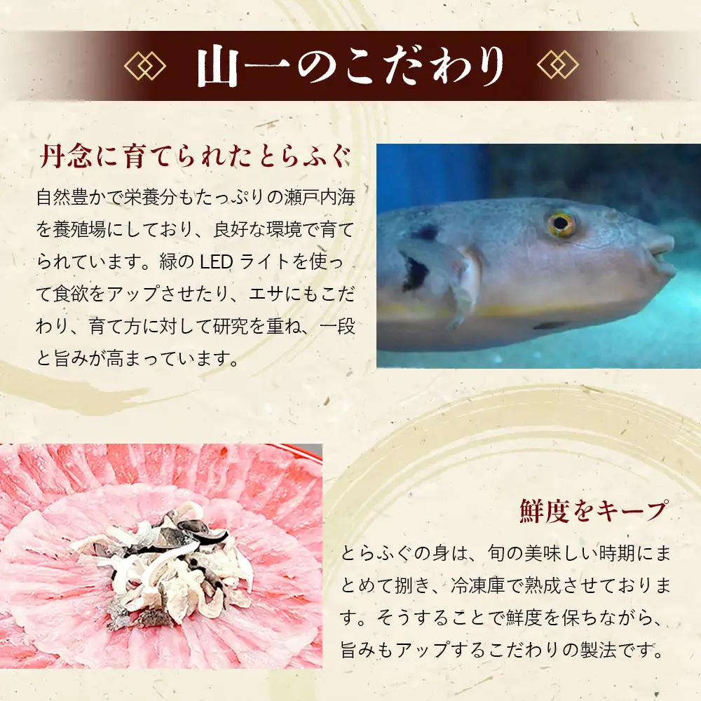 下松産　とらふぐお刺身（陶器皿）約2～3人前【引換券】 ／ お造り フグ 養殖 山口県 特産品 No.095