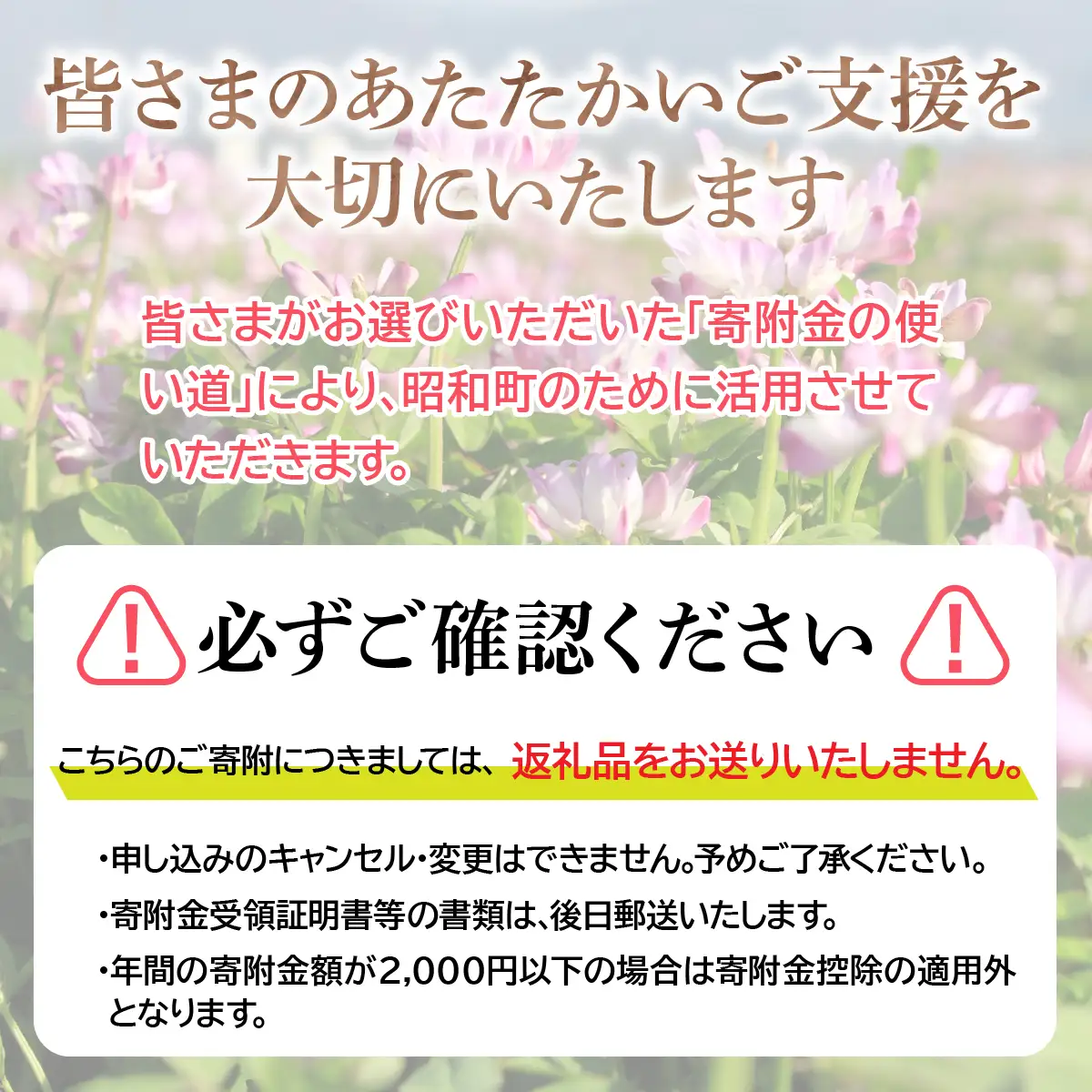 山梨県昭和町 応援寄附＜5,000円＞※返礼品なし SW001-3