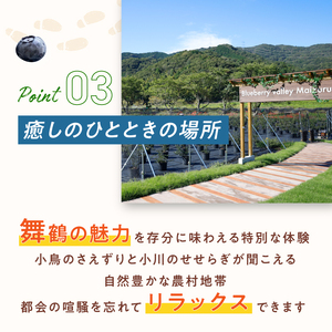 【6月～8月】 ブルーベリー狩り ペアチケット 【時間無制限・食べ放題】