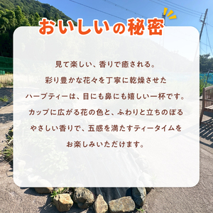 保健師×ハーバルセラピスト監修 ハーブティー 4種類セット