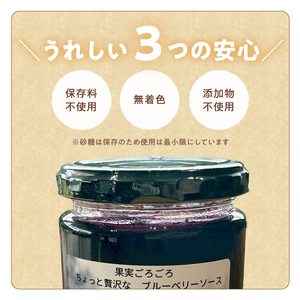 ブルーベリーソース 3本 180g×3 ブルーベリー