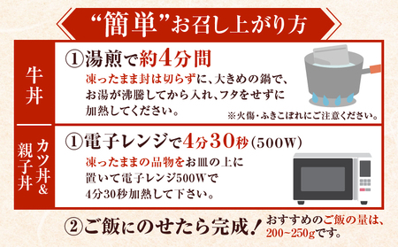 【 全12回 定期便 】鹿児島 の 丼 の 具 3種セット（2人前） K258-T05_02c 肉 豚肉 牛肉 惣菜 総菜 冷凍