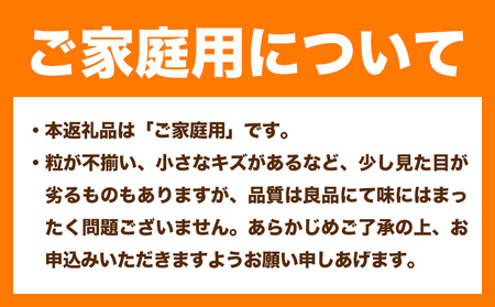 【先行予約】岡山県産 ご家庭用 ニューピオーネ詰合せ 計1.5kg 株式会社はちや《8月下旬-9月下旬頃出荷》送料無料【配送不可地域あり】
