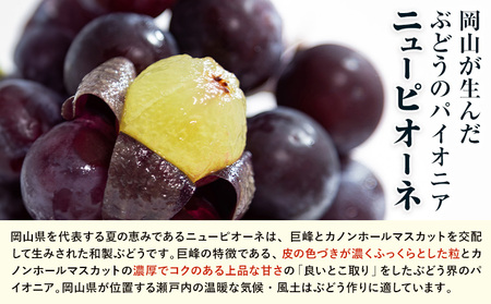 白桃 ロイヤル ニューピオーネ 詰合せ 計1.2kg 株式会社はちや【配送不可地域あり】