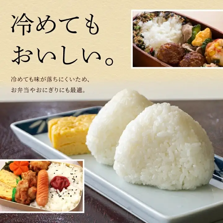 令和7年産　「菜な八」のお米　はえぬき5kg（5kg×1袋）　庄内観光物産館