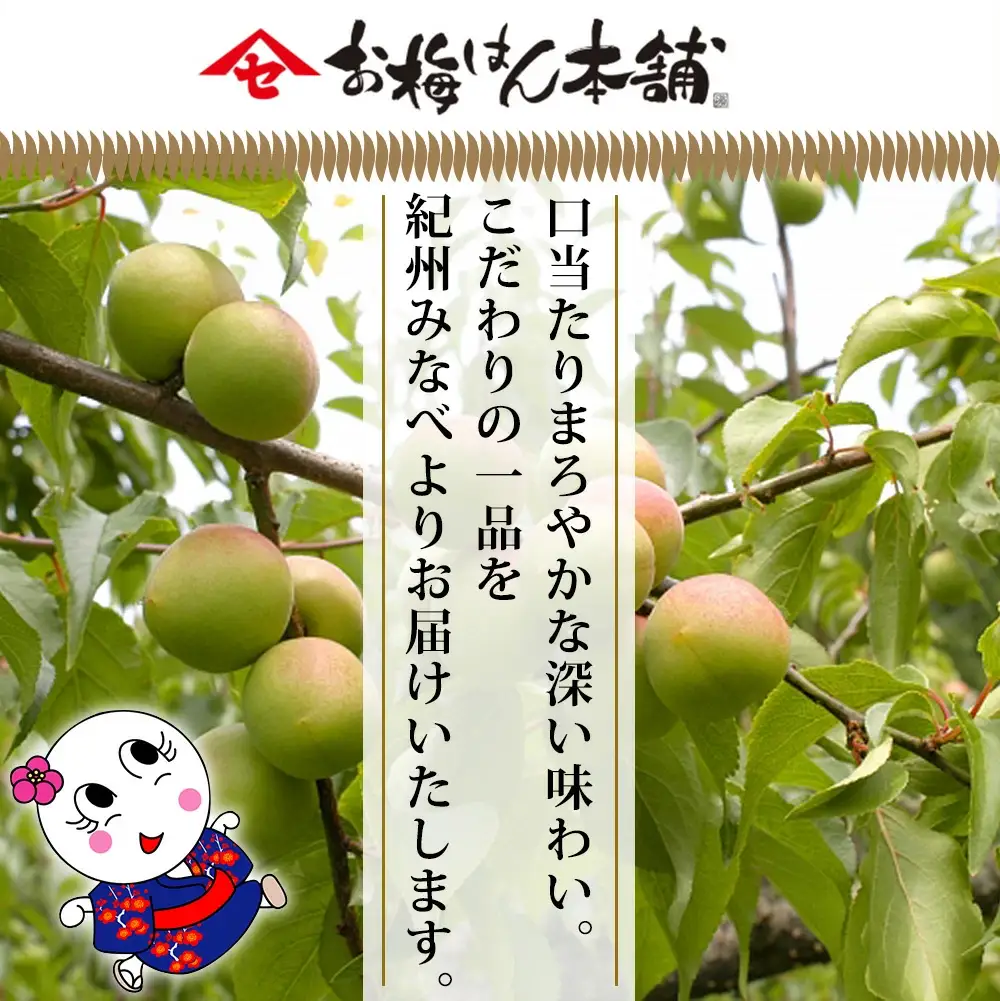 特選 紀州南高梅「白梅の里」ほのか 約800g sekifz028B【sekifz028B】
