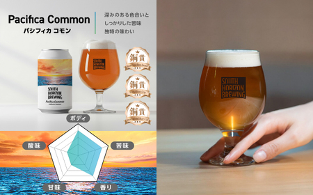 常温クラフトビール (350ml) 3種飲み比べパック / ビール クラフトビール 麦酒 酒 飲み比べ セット 缶 ギフト 贈答用 プレゼント 【SOUTH HORIZON BREWING】[ATEU003]