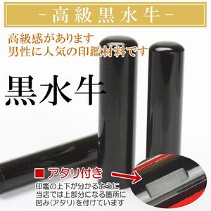 【実印や銀行印に使用可能】黒水牛とグラデーションケースの印鑑１本セット 男性用 女性用 3M05042